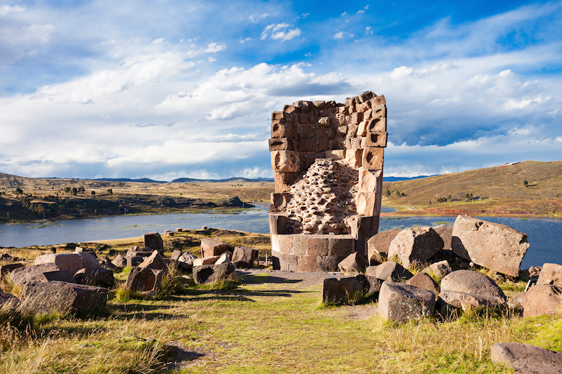 Full Day Peru Lake Titicaca, Lake Titicaca's flora and fauna