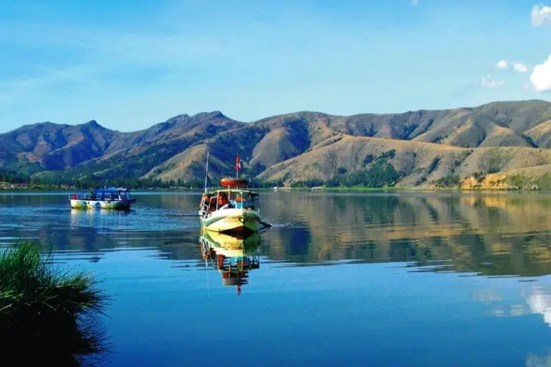 Puno's biodiversity