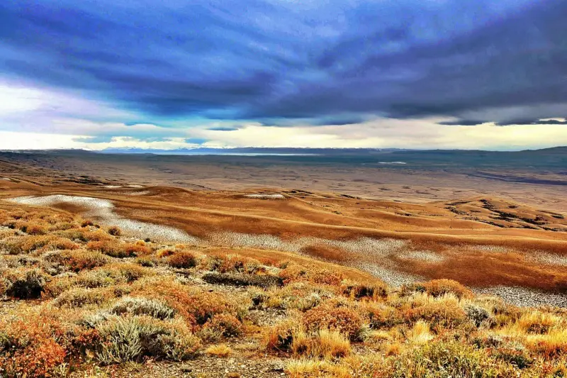 Puno's biodiversity