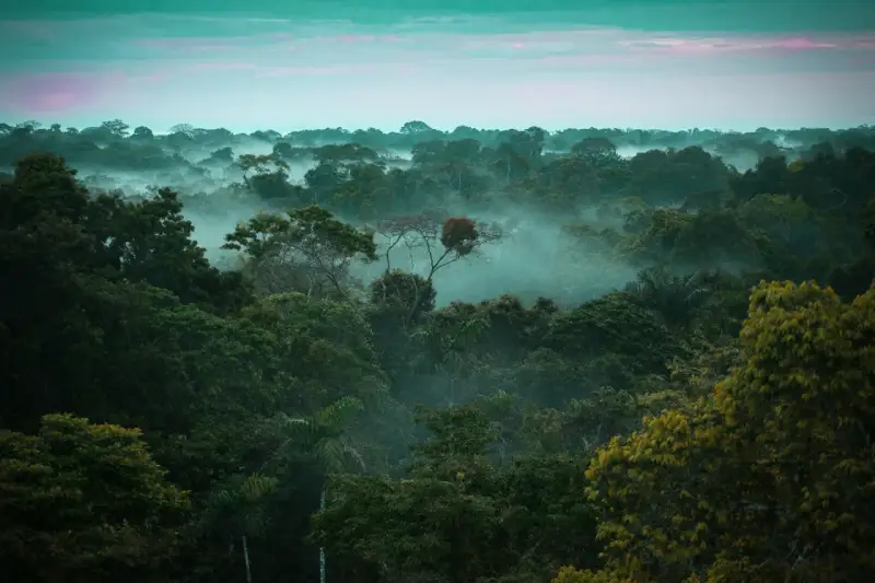 Puno's biodiversity