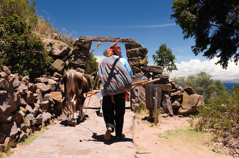 Lake Titicaca Photo