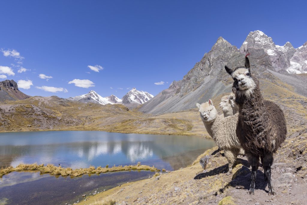 Ausangate 7 Lakes Tour from Cusco